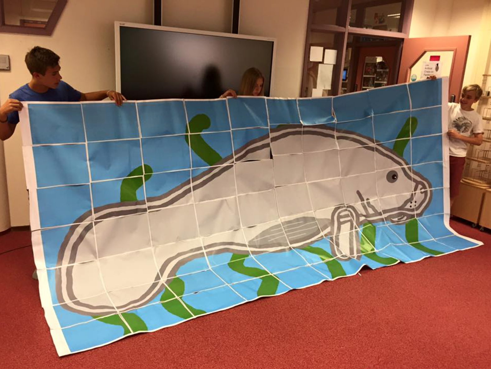Turns out a dugong is an Australian manatee